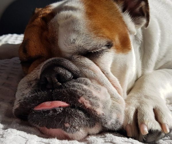 National Napping Day